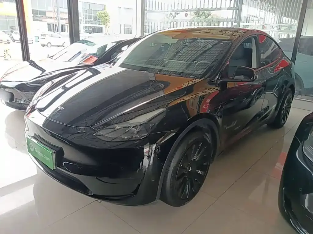 Tesla Model Y — фото 3