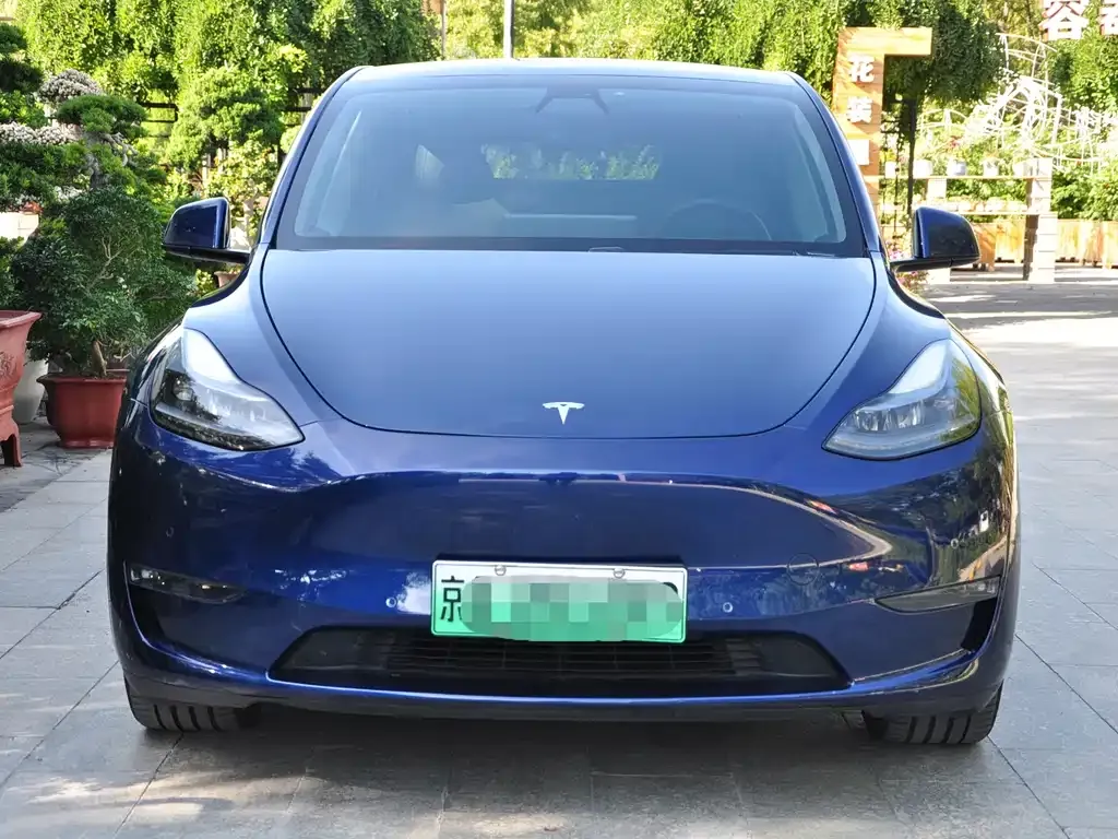 Tesla Model Y — фото 5