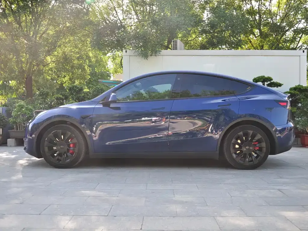 Tesla Model Y — фото 6