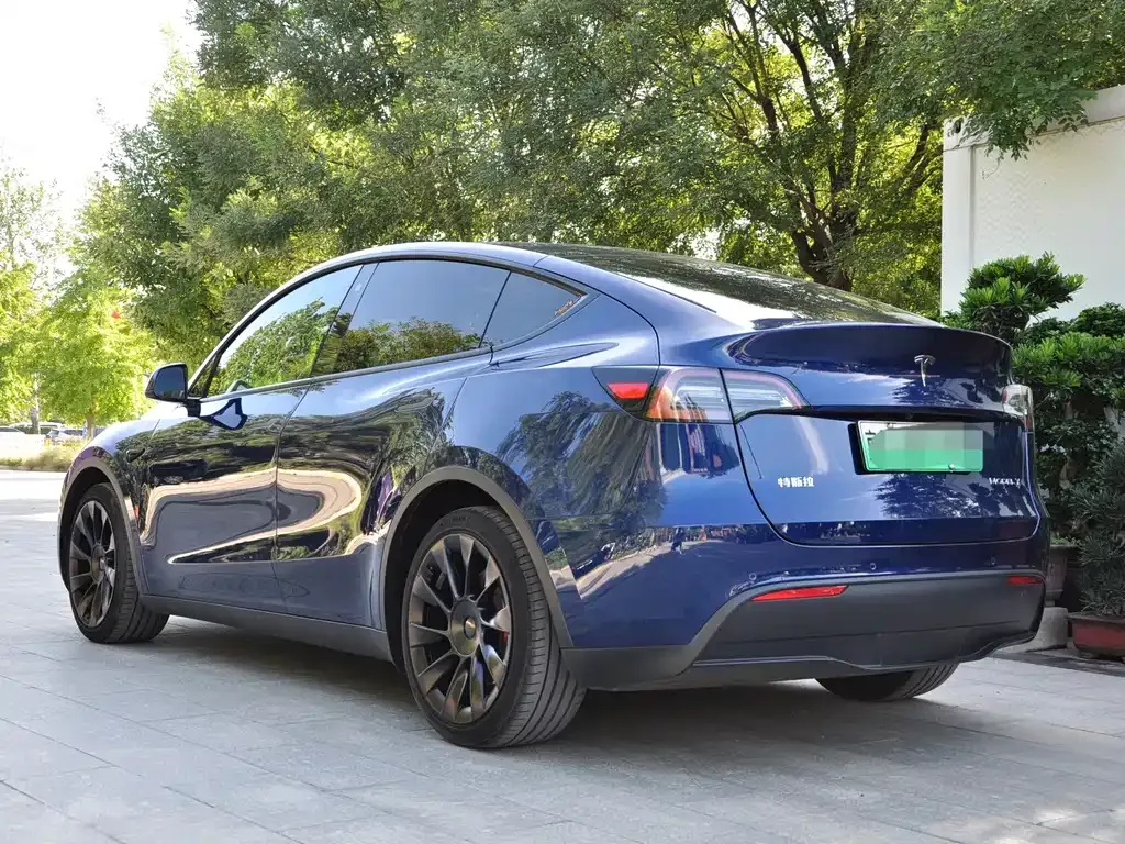 Tesla Model Y — фото 9