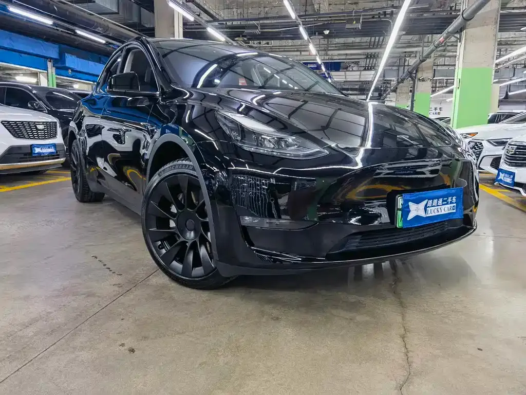 Tesla Model Y — фото 9