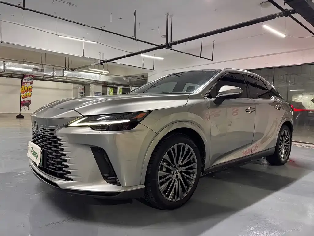 Lexus RX New Energy — фото 5