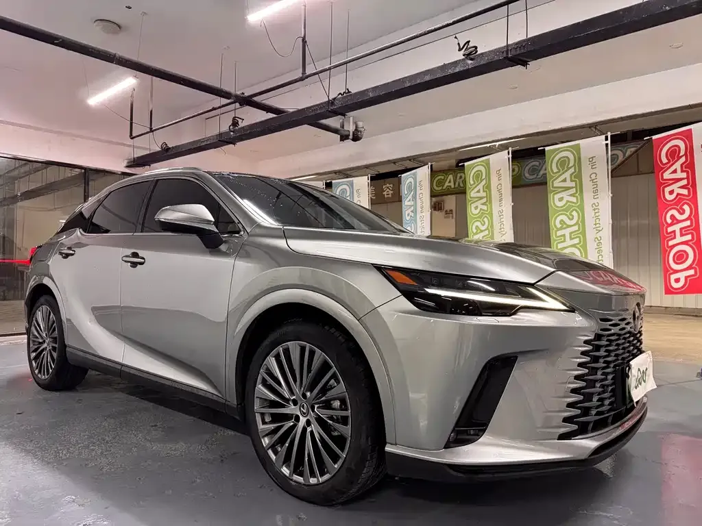 Lexus RX New Energy — фото 4