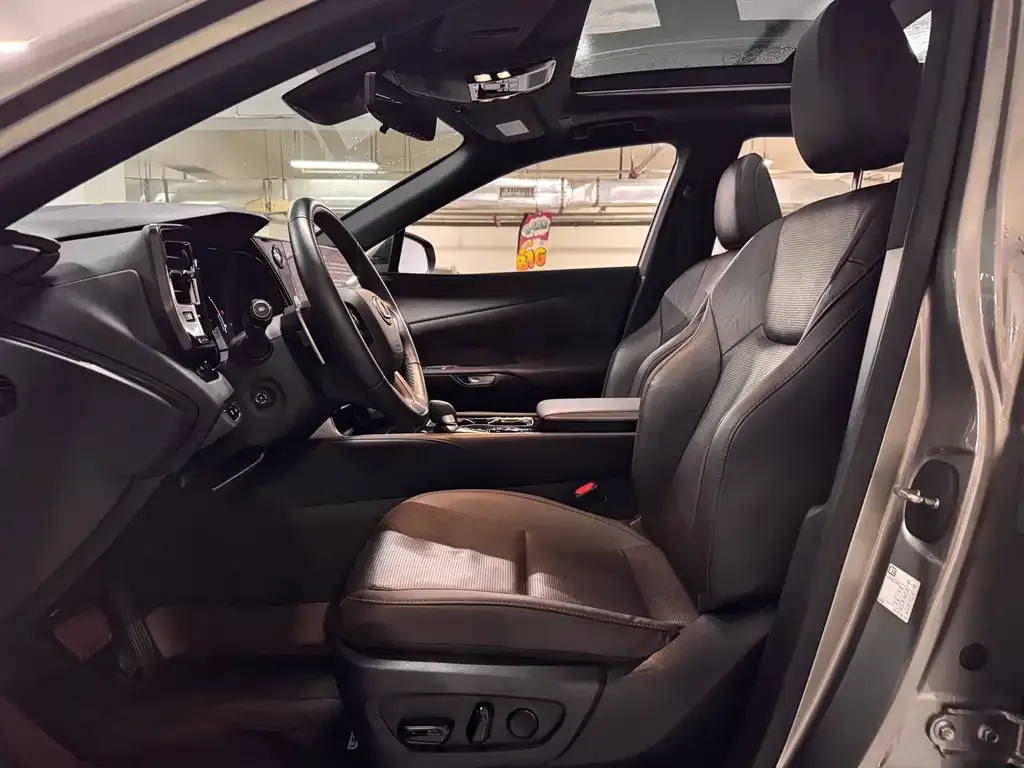 Lexus RX New Energy — фото 10