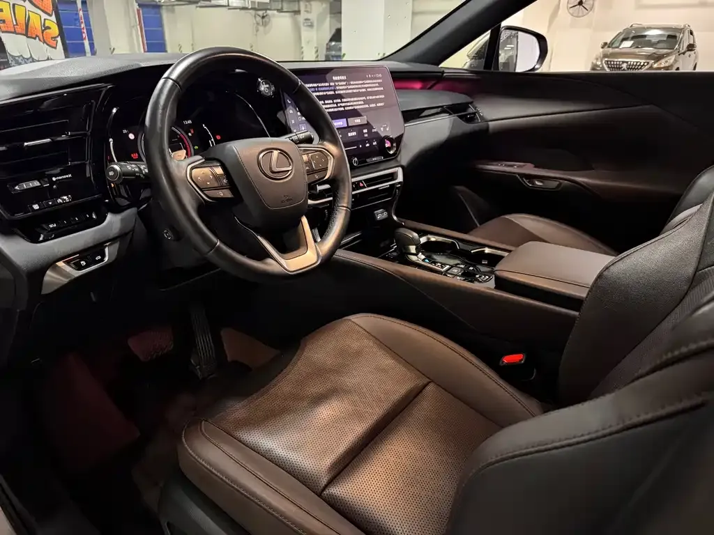 Lexus RX New Energy — фото 9