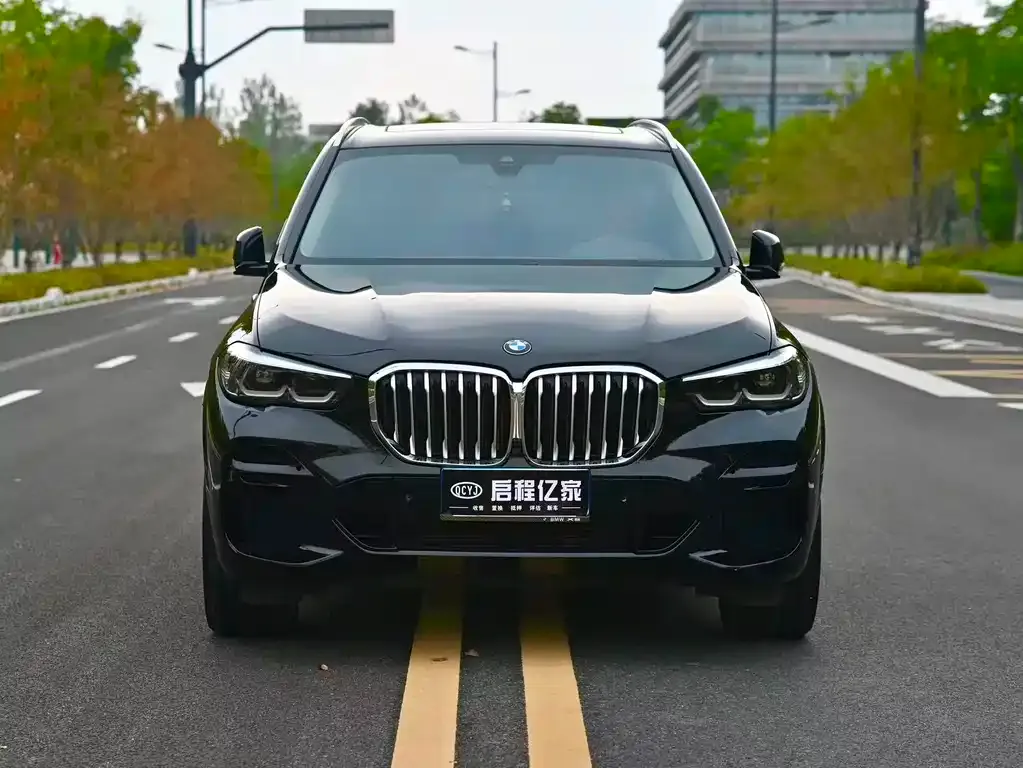 BMW X5 (Import) — фото 4