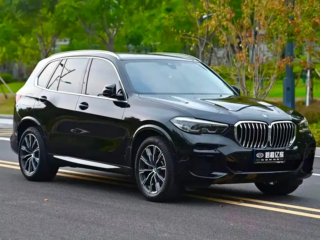 BMW X5 (Import) — фото 6