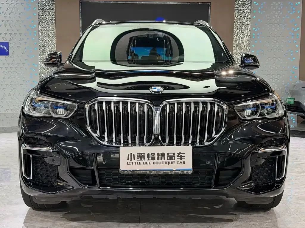 BMW X5 — фото 5