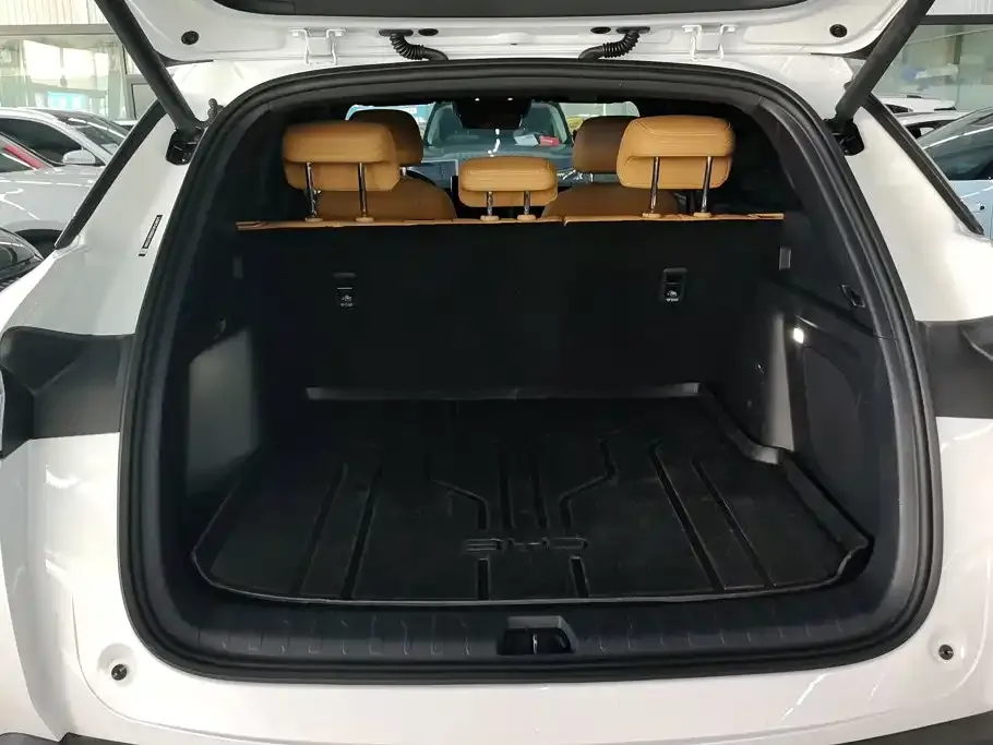 BYD L DM-i — фото 3