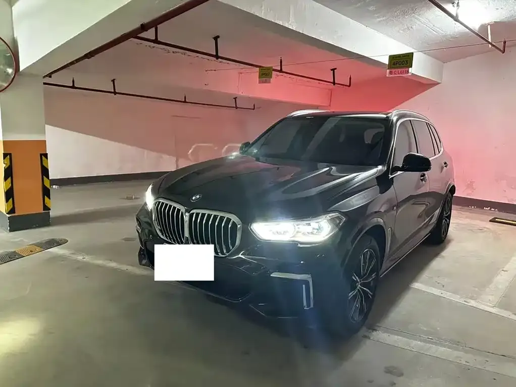 BMW X5 — фото 10