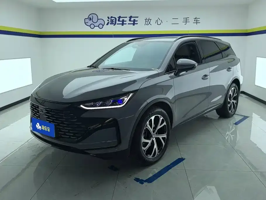 BYD Tang New Energy — фото 1