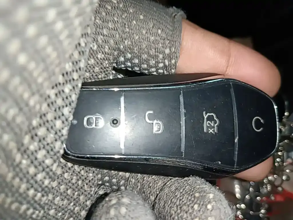 BYD L DM-i — фото 10
