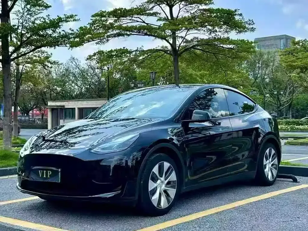 Tesla Model Y — фото 1