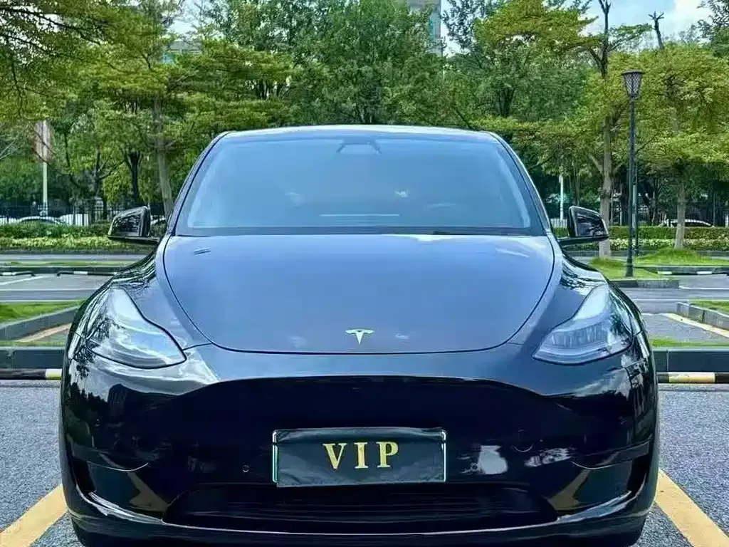 Tesla Model Y — фото 6