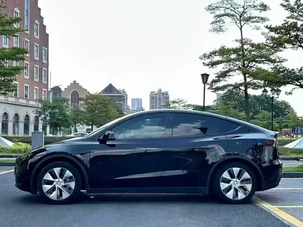 Tesla Model Y — фото 2