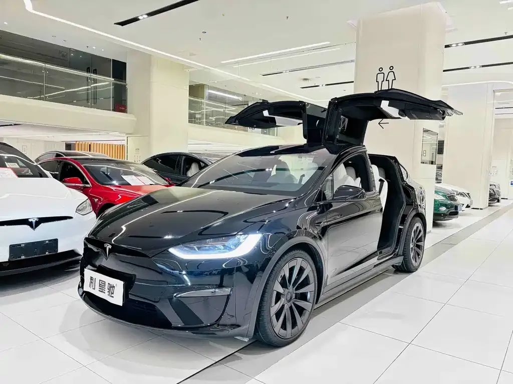 Tesla Model X — фото 1