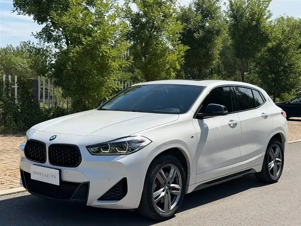 BMW X2 — фото 1