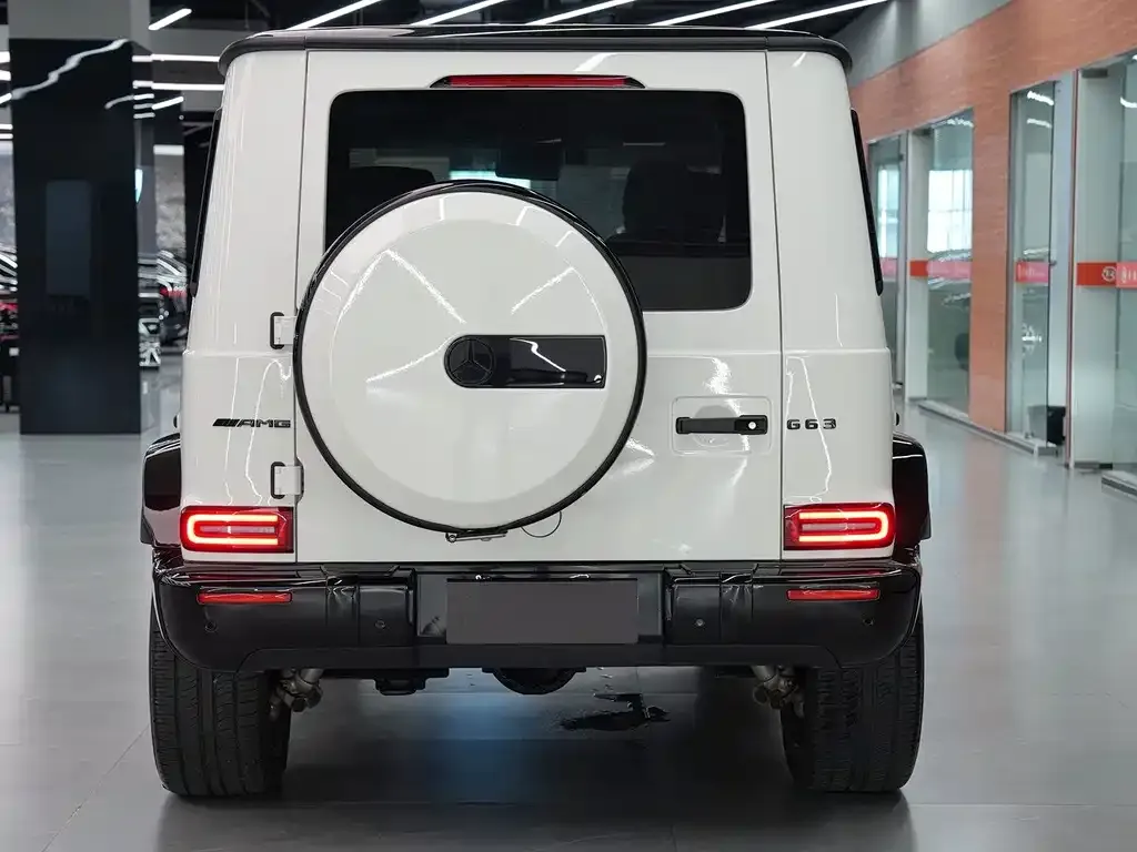 Mercedes-Benz G-Class AMG — фото 8