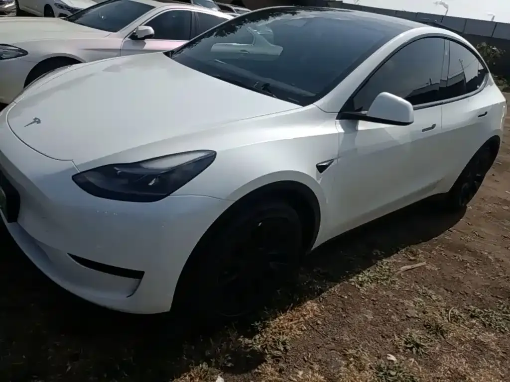 Tesla Model Y — фото 1