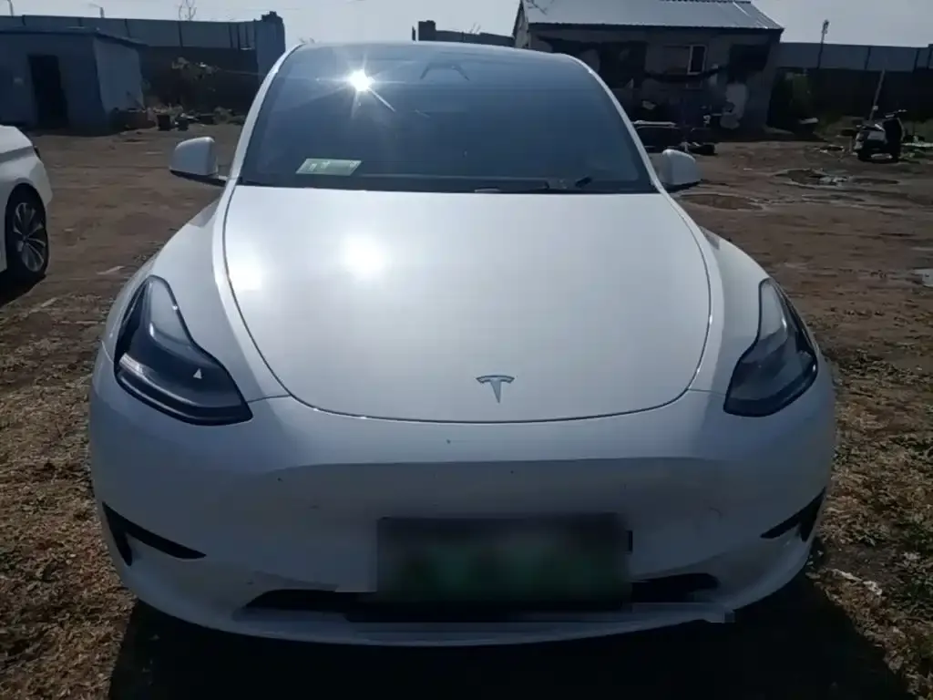 Tesla Model Y — фото 2