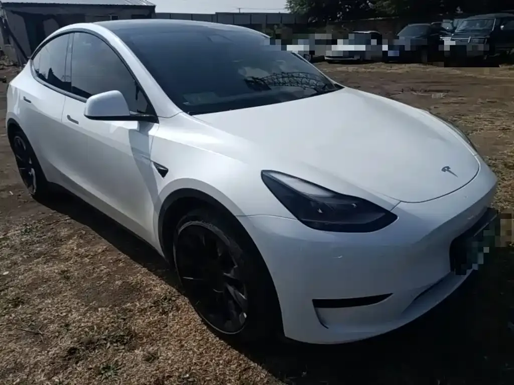 Tesla Model Y — фото 10