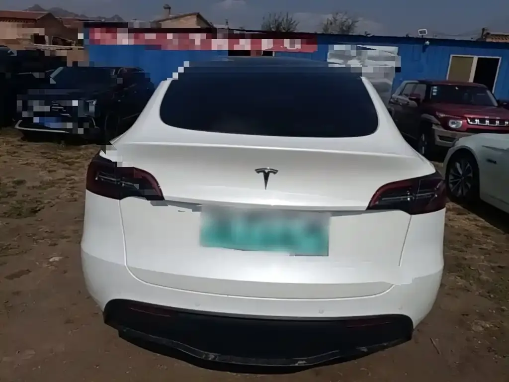 Tesla Model Y — фото 3