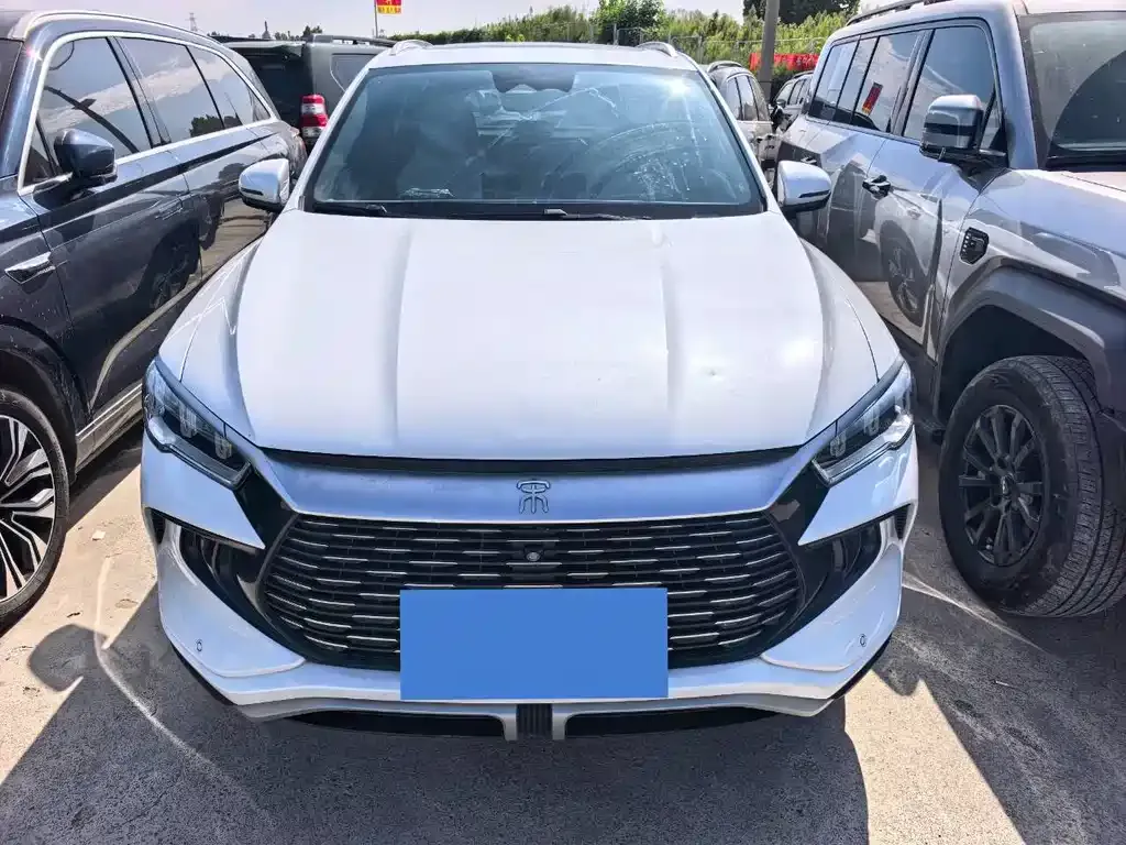 BYD Pro New Energy — фото 3