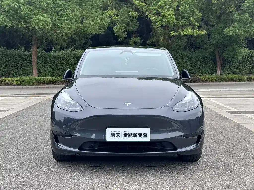 Tesla Model Y — фото 9