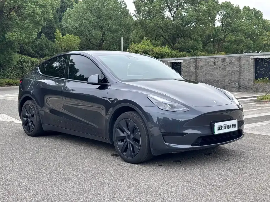 Tesla Model Y — фото 5