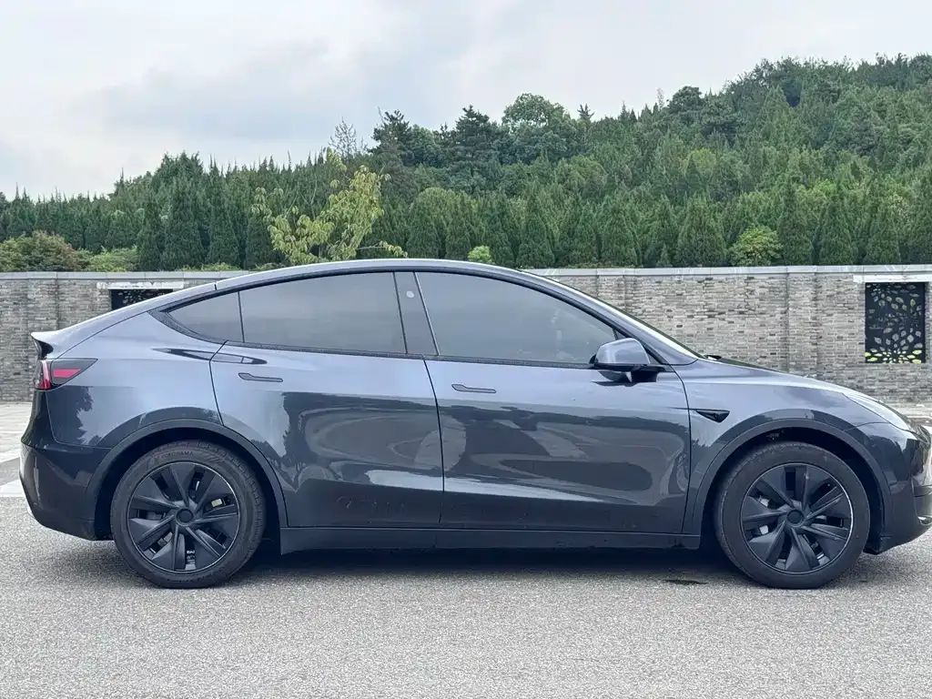 Tesla Model Y — фото 10