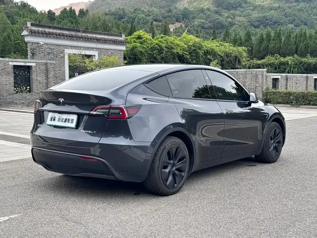 Tesla Model Y — фото 8
