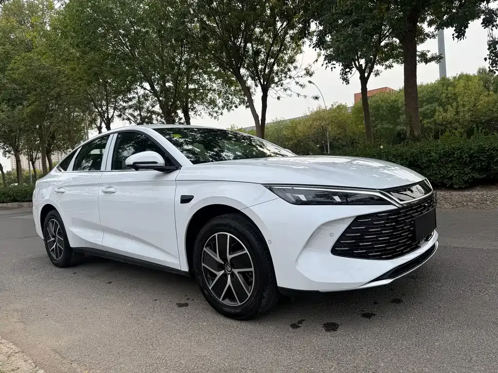 BYD Qin L — фото 6