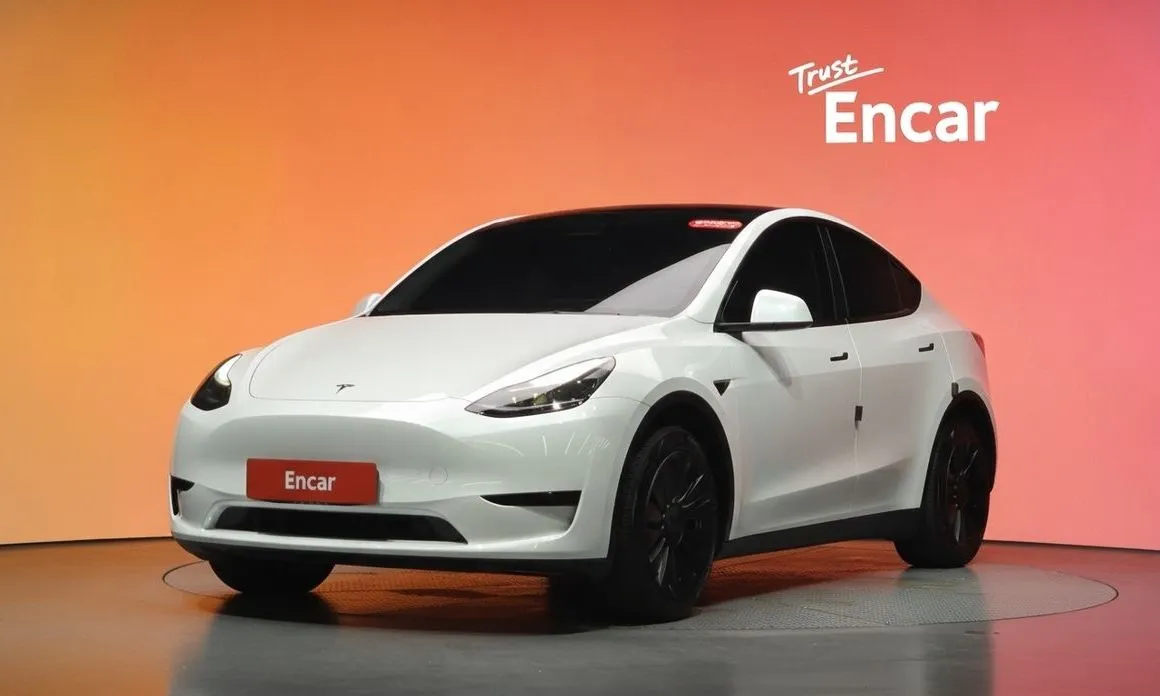 Tesla Model Y — фото 1