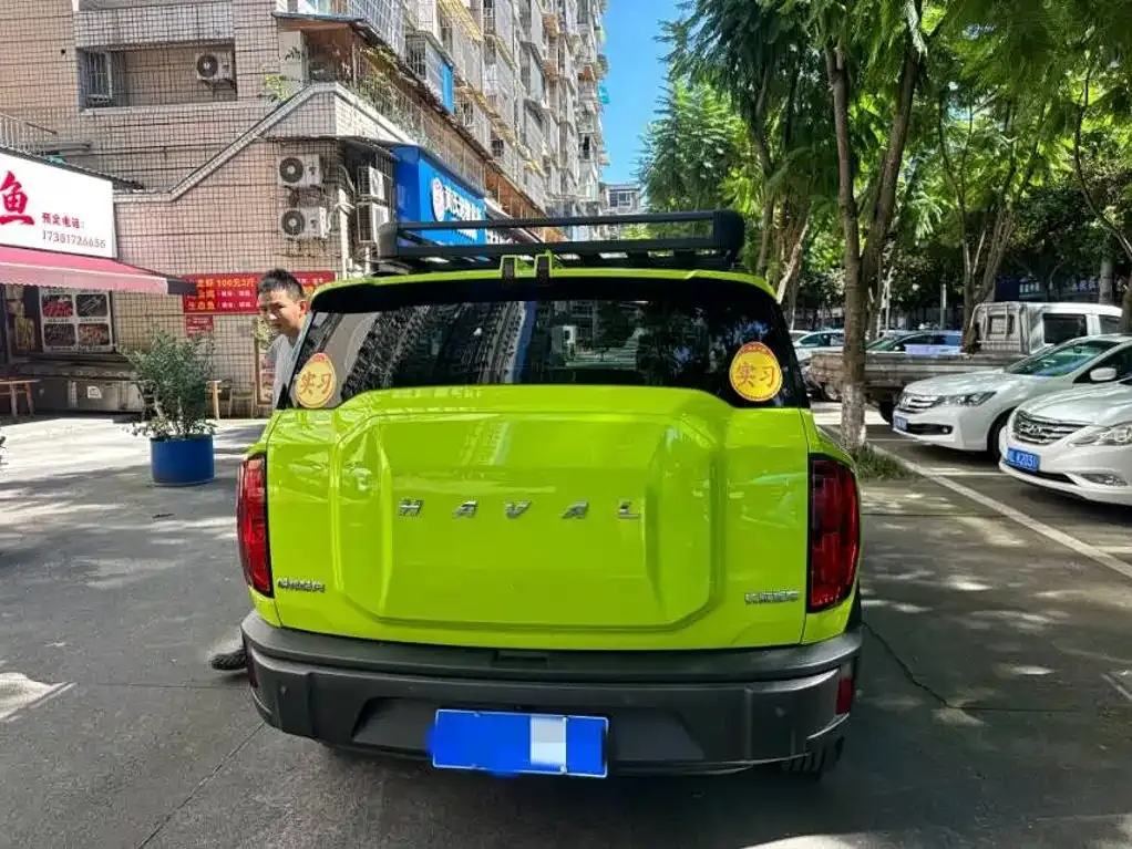 Haval Cool Dog — фото 3
