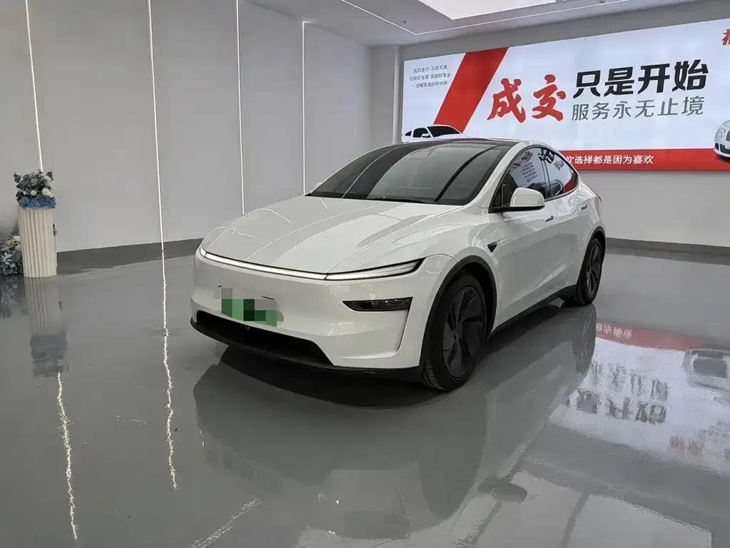 Tesla Model Y — фото 1