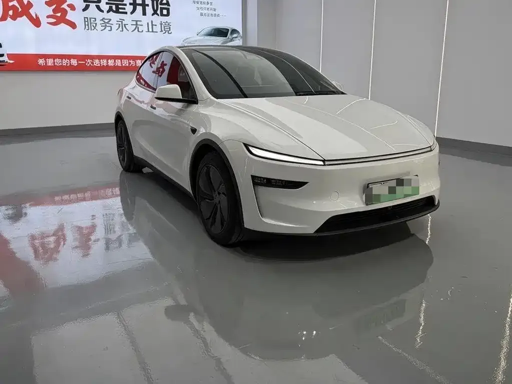 Tesla Model Y — фото 10