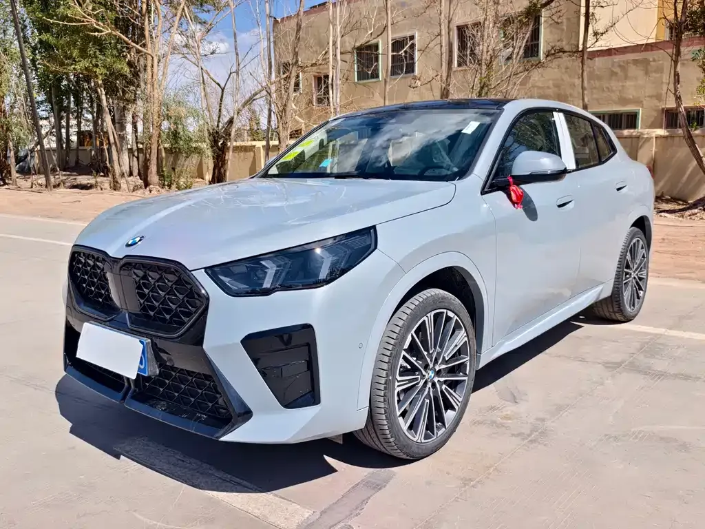 BMW X2 (Import) — фото 1