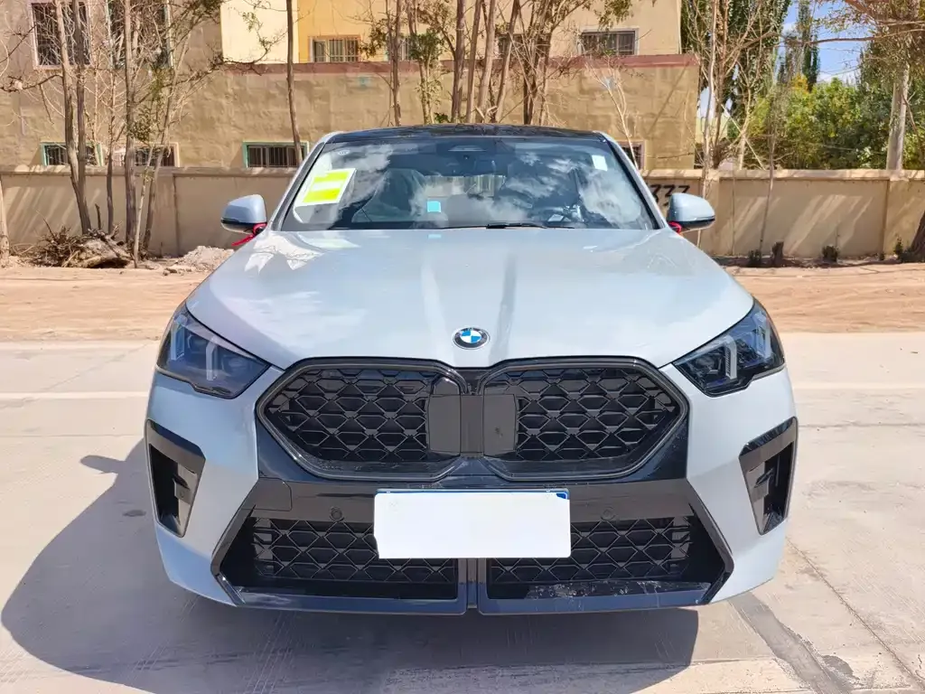 BMW X2 (Import) — фото 8