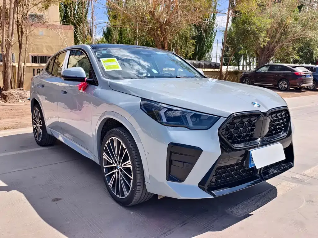 BMW X2 (Import) — фото 5