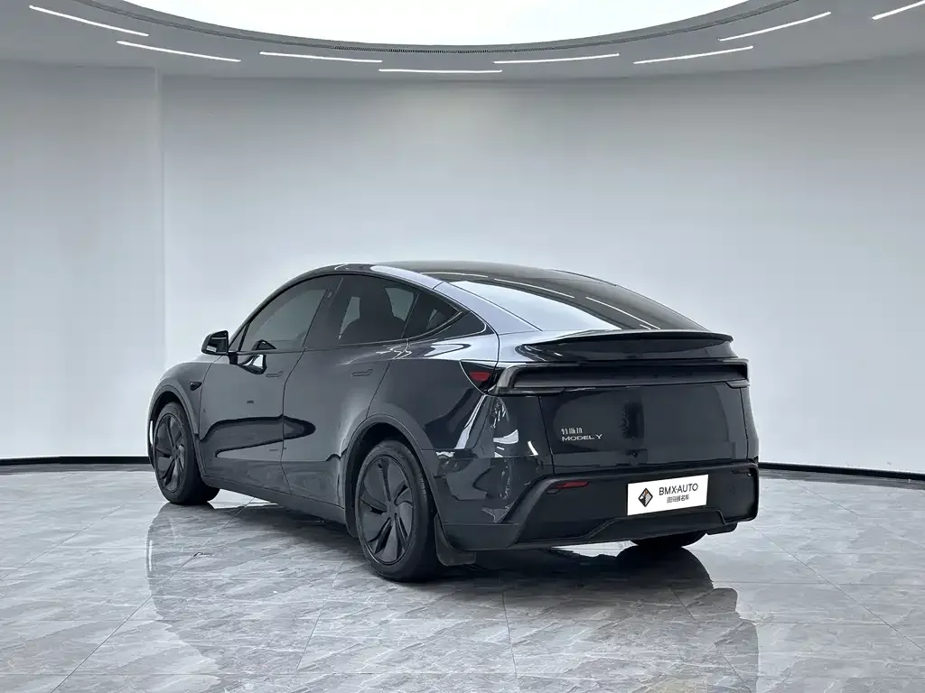 Tesla Model Y — фото 10