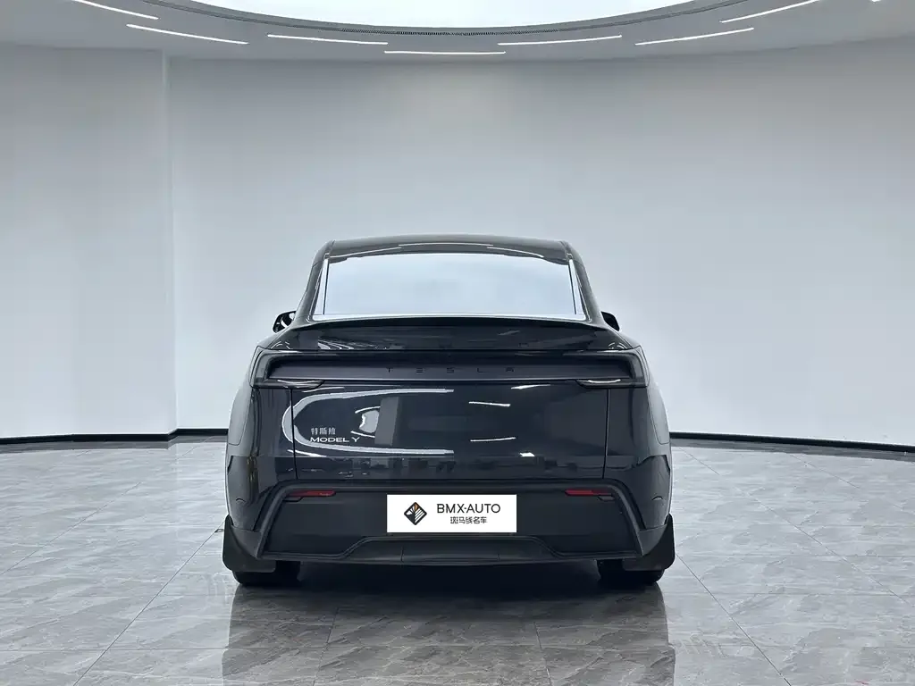 Tesla Model Y — фото 5
