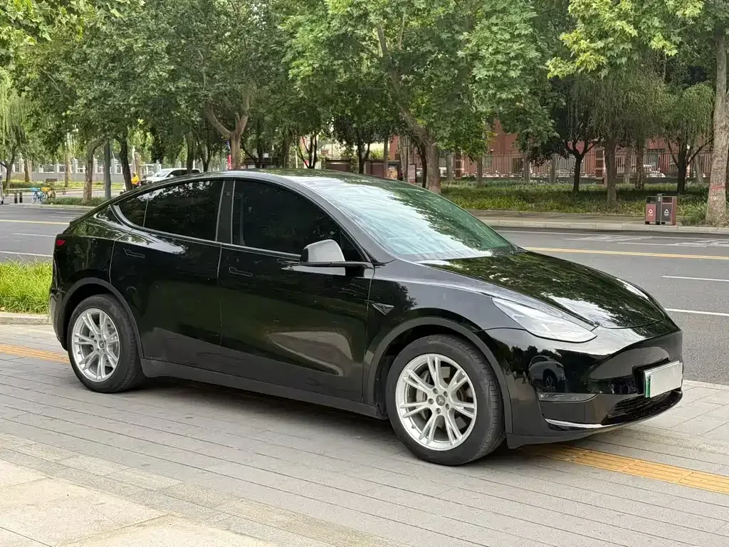 Tesla Model Y — фото 5