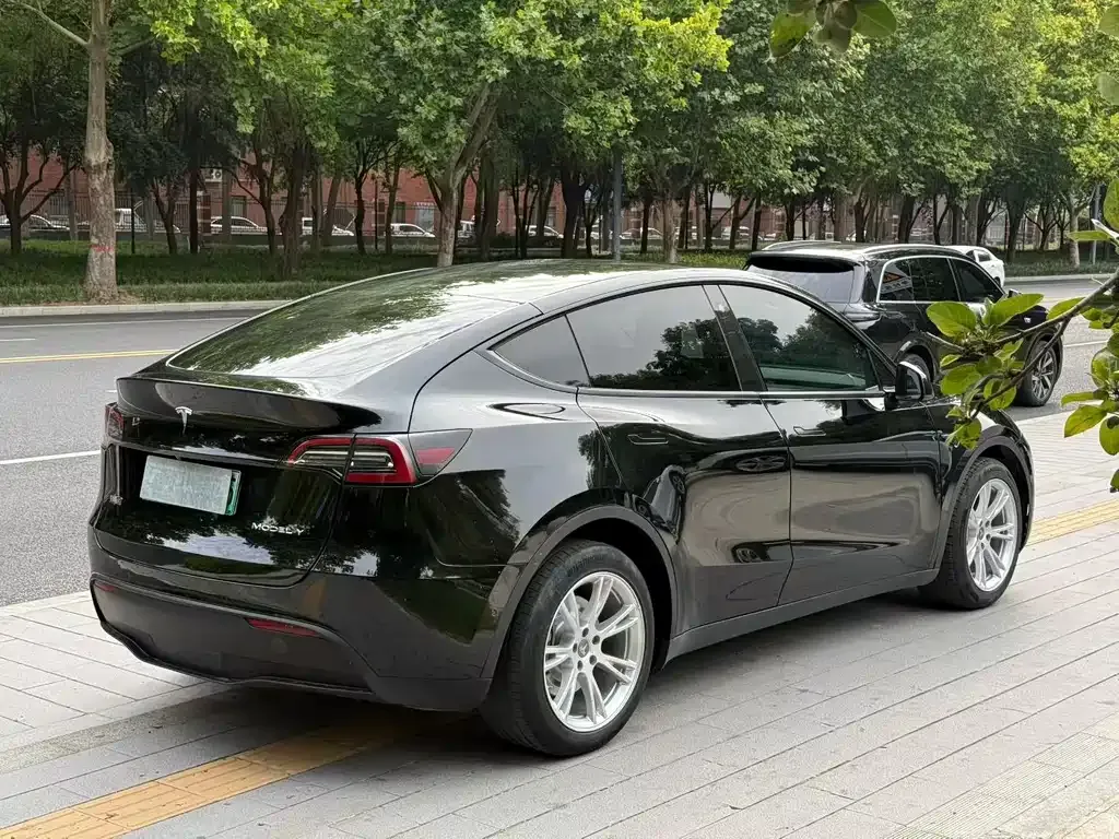 Tesla Model Y — фото 8