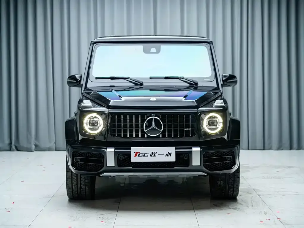 Mercedes-Benz G-Class — фото 10