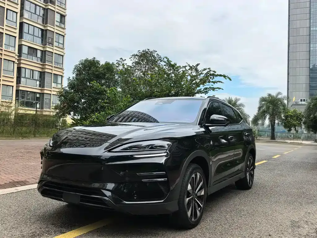 BYD PLUS New Energy — фото 1