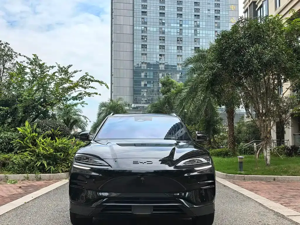 BYD PLUS New Energy — фото 10