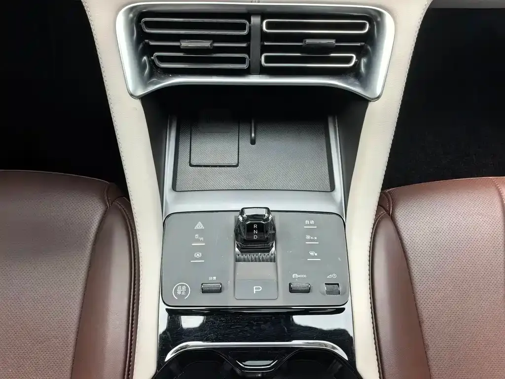 BYD PLUS New Energy — фото 6