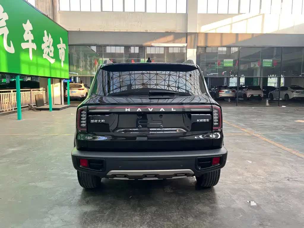 Haval Big Dog — фото 6