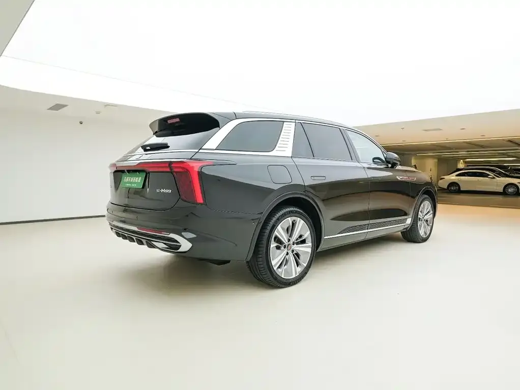 Hongqi E-HS9 — фото 10