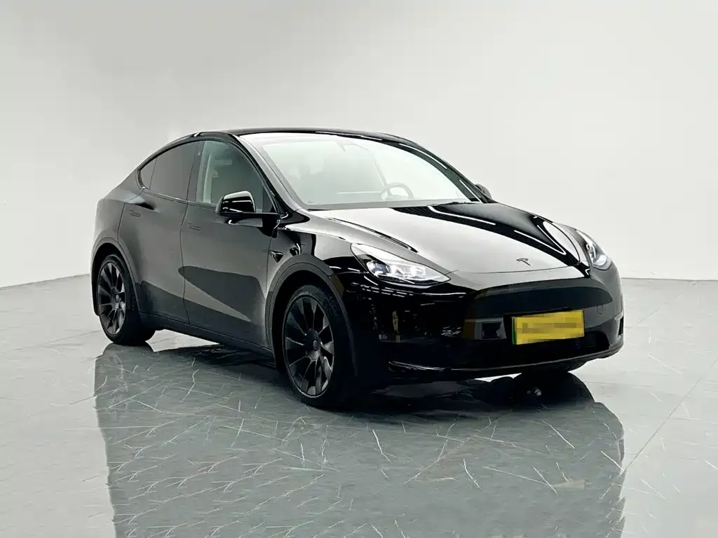 Tesla Model Y — фото 8